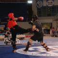 artofwushu-2017-39.jpg