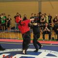 artofwushu-vii-0037.jpg