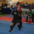 artofwushu-vii-0056.jpg