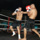 pro-sanda-2-fights-83.png