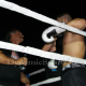 pro-sanda-2-fights-88.png