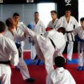 skarogiannis-gkorgkas-3.jpg
