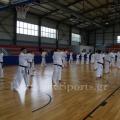 seminaria-wicks-6.jpg