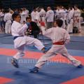 panel-u21-2015-14.jpg