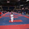 panel-karate-2018-21.jpg