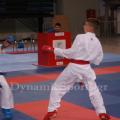panel-karate-2016-02.jpg
