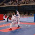 panel-karate-2016-06.jpg