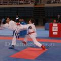 panel-karate-2016-08.jpg