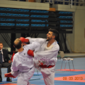 panellinio-3-2014-33.png