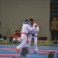 panellinio-3-2014-39.png
