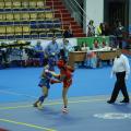 wushu-russia-2017-06.jpg