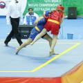 wushu-russia-2017-07.jpg