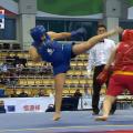 wushu-russia-2017-09.jpg