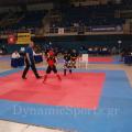 19panell-wushu-2018-33.jpg