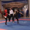 valkanikoi-wushu-2015-73.jpg