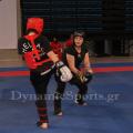 valkanikoi-wushu-2015-77.jpg