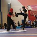 wushu-diasylogiko-2016-16.jpg