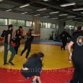 wushu-taolou-panel-2019-04721.jpg