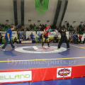 panell-wushu-2014-17.png