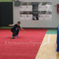 panell-wushu-2014-32.png