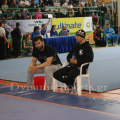 panell-wushu-2014-35.png