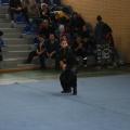 wushu-11-2016-30.jpg