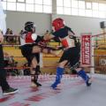 top-fight-league-10.jpg