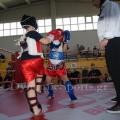 top-fight-league-13.jpg