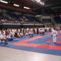 panell-shotokan-2015-2.jpg