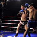 4-ultimate-fighters-2-2014.jpg