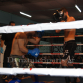 ultimate-fighters-2-2014-6.png