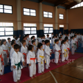 wado-imerida-2014-1.png
