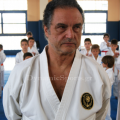 wado-imerida-2014-11.png