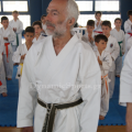 wado-imerida-2014-12.png