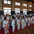 wado-imerida-2014-16.png