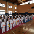 wado-imerida-2014-17.png