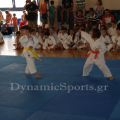 wado-imerida-2014-18.png