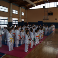 wado-imerida-2014-2.png