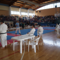 wado-imerida-2014-24.png
