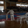 wado-imerida-2014-25.png