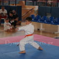 wado-imerida-2014-28.png