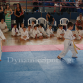 wado-imerida-2014-29.png