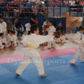 wado-imerida-2014-33.png