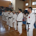 wado-imerida-2014-6.png