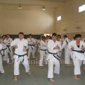 wado-1imerida-proponiton-2.jpg