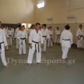 wado-1imerida-proponiton-40.jpg