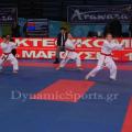 wado-panel-2017-17.jpg